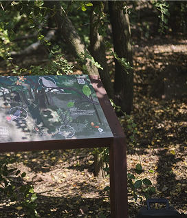 Bosque Esclerófilo
