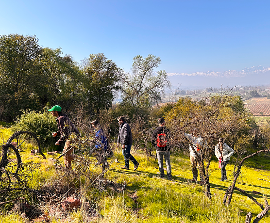 Jornada de reforestación en el cerro