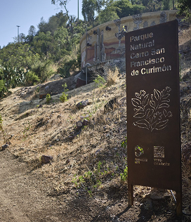 Sendero Principal