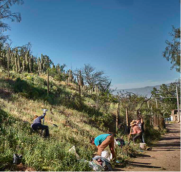 Reforestación junto al colegio Assunta Pallota